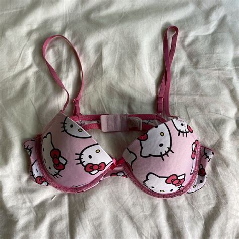 hello kitty lingerie bag.